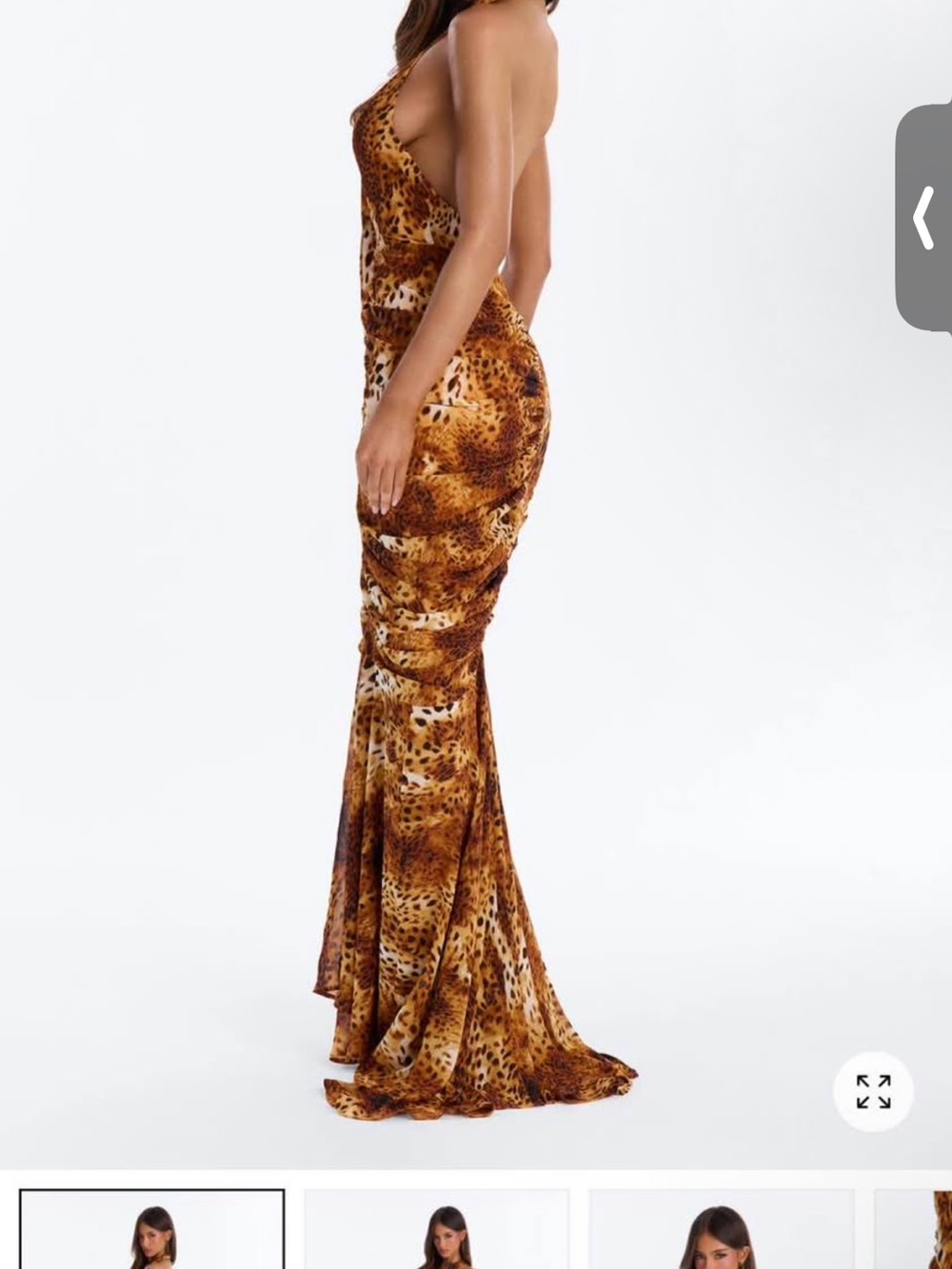 Animal print maxi dress